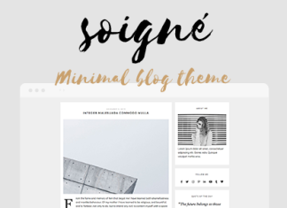 Soigne Un theme WordPress de blog minimal et reactif.png