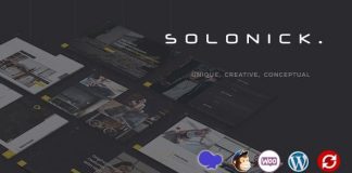 Solonick Theme WordPress de portfolio personnel.jpg