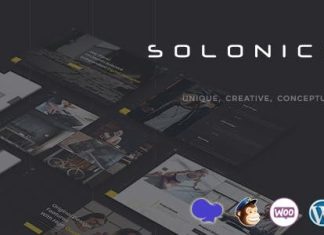 Solonick Theme WordPress de portfolio personnel.jpg