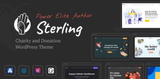 Sterling Theme WordPress pour la charite et les dons.jpg