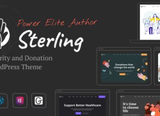 Sterling Theme WordPress pour la charite et les dons.jpg