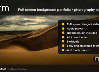 Storm WordPress Theme en plein ecran avec arriere plan complet.jpg