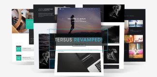 Tersus Modele de portfolio dentreprise parallaxe Muse.jpg