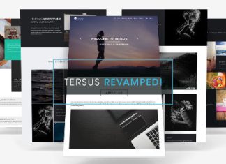 Tersus Modele de portfolio dentreprise parallaxe Muse.jpg