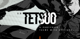 Tetsuo Theme Portfolio et Industrie Creative.png