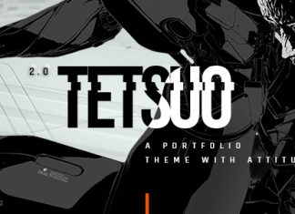 Tetsuo Theme Portfolio et Industrie Creative.png