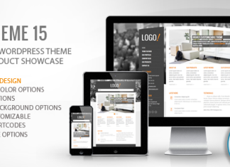 Theme Premium Wordpress RT Theme 15.png