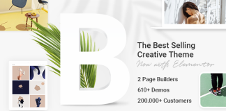 Theme WordPress Bridge Creative Elementor et WooCommerce.png