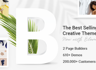 Theme WordPress Bridge Creative Elementor et WooCommerce.png