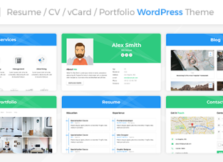 Theme WordPress CVResume Aveo.png