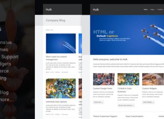 Theme WordPress Hulk BusinessPortfolio.jpg