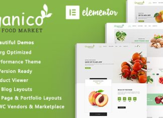 Theme WordPress Organico Alimentation Biologique WooCommerce.jpg