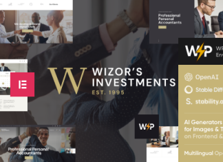 Theme WordPress Wizors Investissements Consulting en Assurance et.png