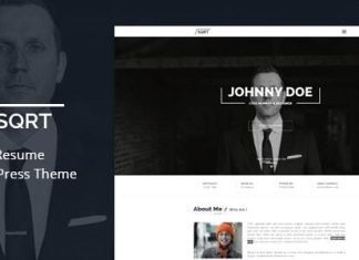 Theme WordPress de CV Squareroot.jpg