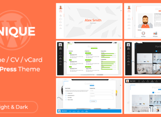 Theme WordPress de CV unique.png