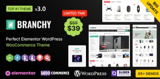 Theme multifonctionnel responsive WooCommerce Branchy WP avec Elementor.jpg