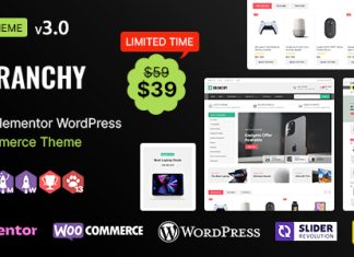 Theme multifonctionnel responsive WooCommerce Branchy WP avec Elementor.jpg