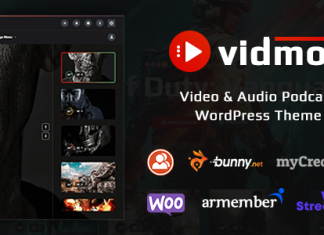 VidMov Theme WordPress pour videos.png