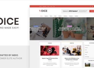 Voix Theme WordPress Magazine dActualites.jpg