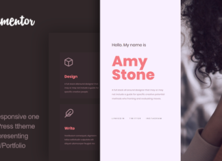 Volos Theme WordPress de CV dune page.png