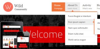 WildCommunity Theme de communaute BuddyPress.jpg