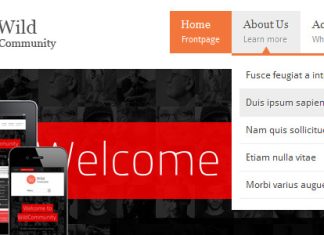WildCommunity Theme de communaute BuddyPress.jpg