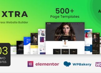 Xtra Constructeur de site Web WordPress RTL.jpg