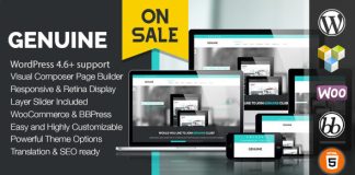 Authentique Theme WordPress Creatif et Reactif.jpg
