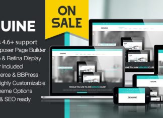 Authentique Theme WordPress Creatif et Reactif.jpg