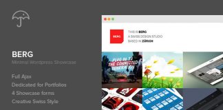 Berg Theme de portfolio WordPress.jpg