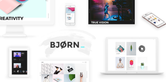 Bjorn Theme de portfolio pour agence creative et freelancers.png