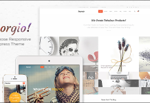 Engorgio Theme WordPress Expressif Tout Usage Responsive.png