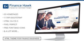 Finance Hawk Modele de consultance en affaires.jpg
