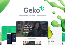 Geko Theme de demarrage WordPress.png