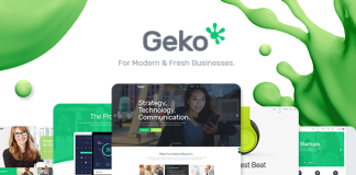 Geko Theme de demarrage WordPress.png