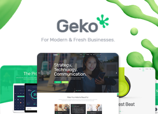 Geko Theme de demarrage WordPress.png