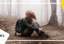 Lemars Theme WordPress de blog personnel.png