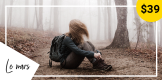 Lemars Theme WordPress de blog personnel.png