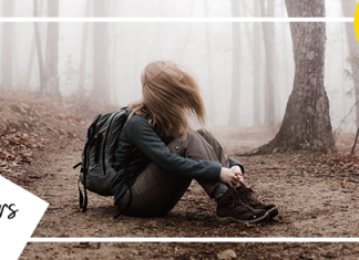 Lemars – Thème WordPress de blog personnel Lemars Theme WordPress de blog personnel.png