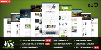 Mint Theme WordPress polyvalent reactif multi usage.png