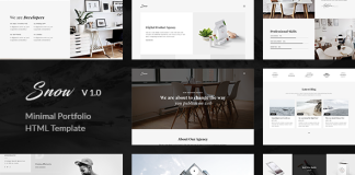 Neige Modele de Portfolio HTML.png