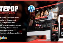 Nite Pop theme WordPress pour groupeartist musical.jpg