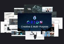 Orion Theme WordPress polyvalent et creatif.jpg