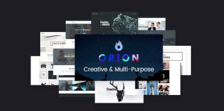 Orion Theme WordPress polyvalent et creatif.jpg
