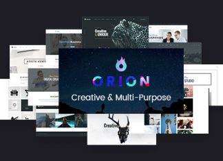Orion – Thème WordPress polyvalent et créatif Orion Theme WordPress polyvalent et creatif.jpg