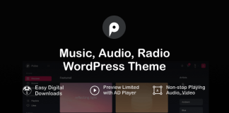 Pulse Theme WordPress pour la Musique lAudio et la.png