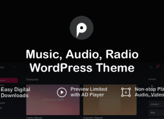 Pulse – Thème WordPress pour la Musique, l’Audio et la Radio Pulse Theme WordPress pour la Musique lAudio et la.png